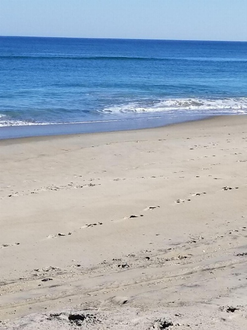 Ocean Pines Resort by Capital Vacations image 11