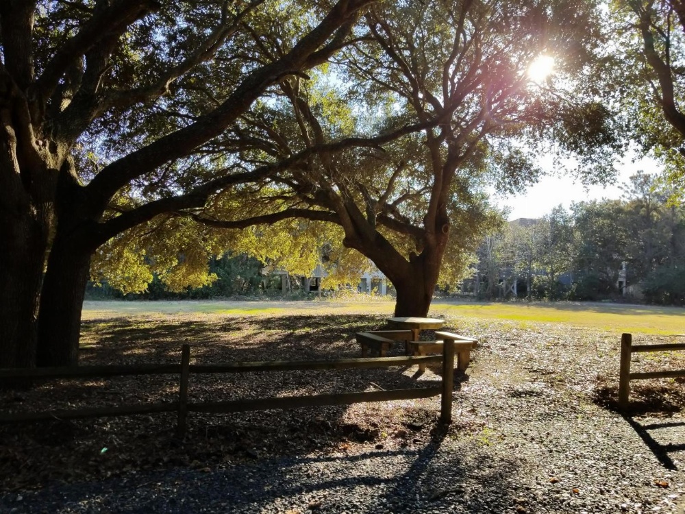 Ocean Pines Resort by Capital Vacations Main image